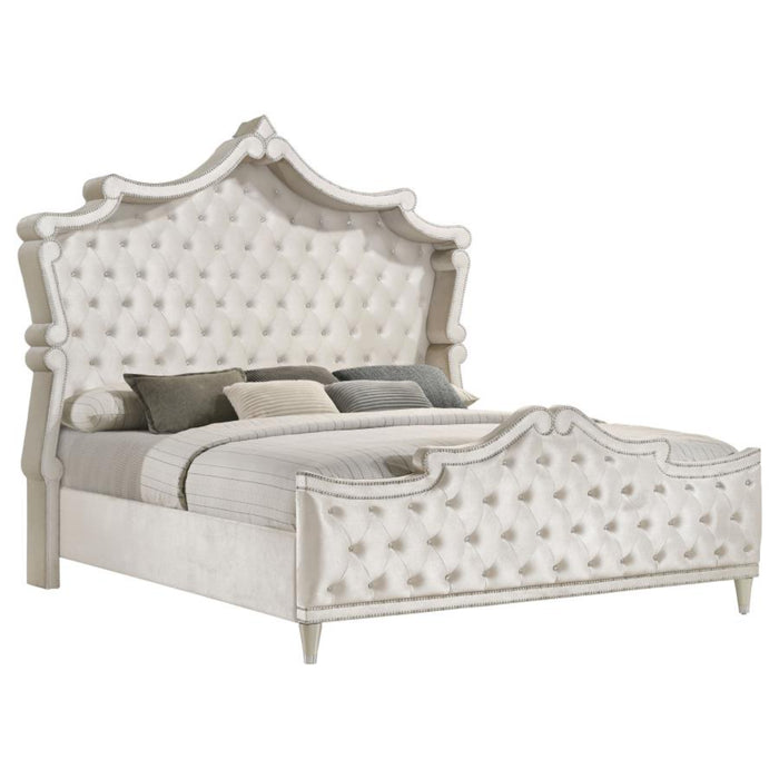 Coaster Antonella 4-piece Bedroom Set Ivory