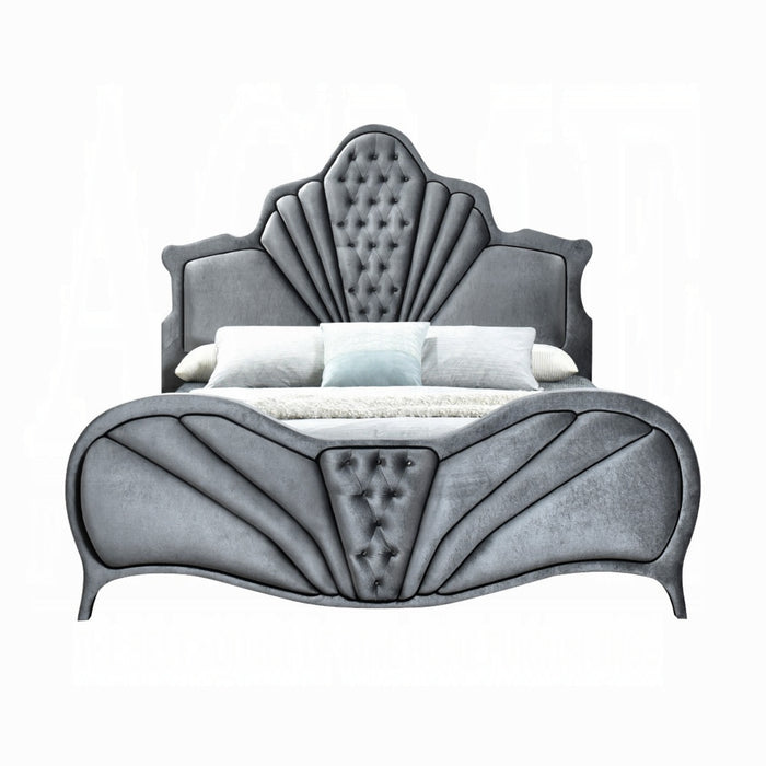 ACME Dante Queen Bed