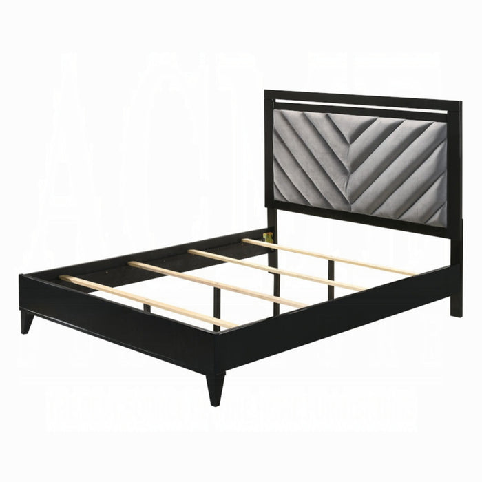 ACME Chelsie Queen Bed