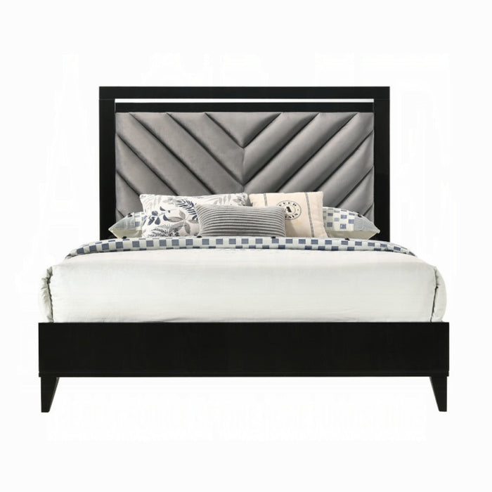 ACME Chelsie Queen Bed