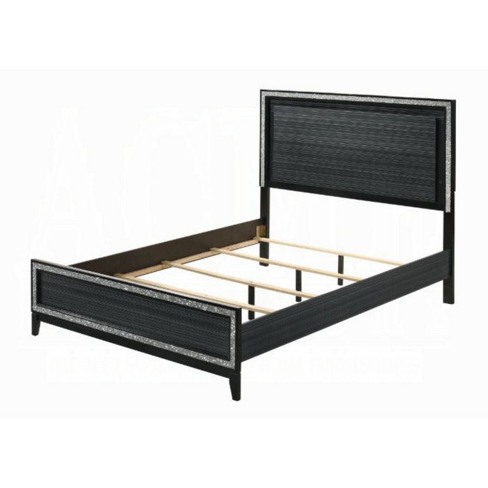 ACME Haiden Queen Bed W/Led