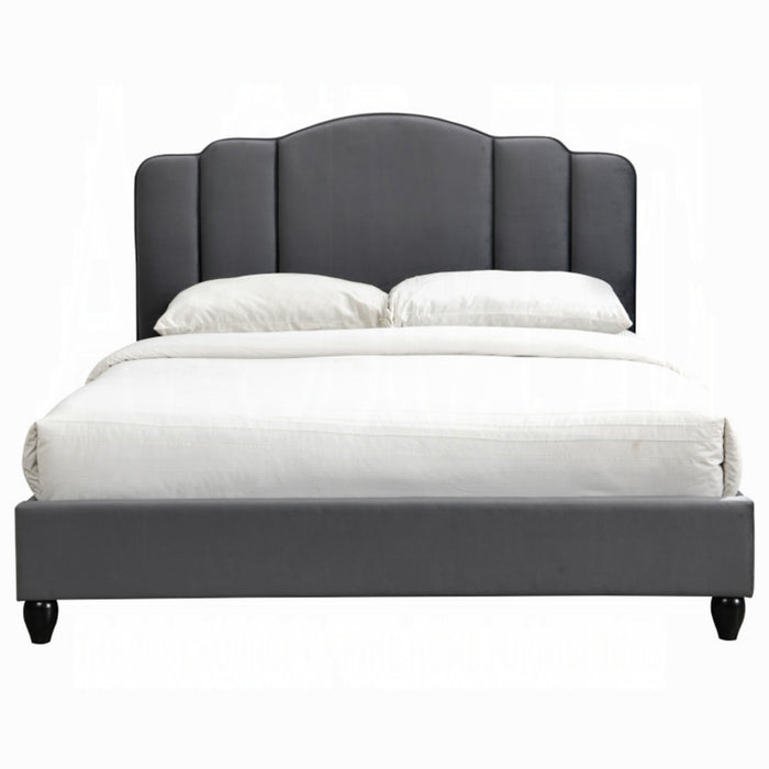 ACME Giada EK Bed