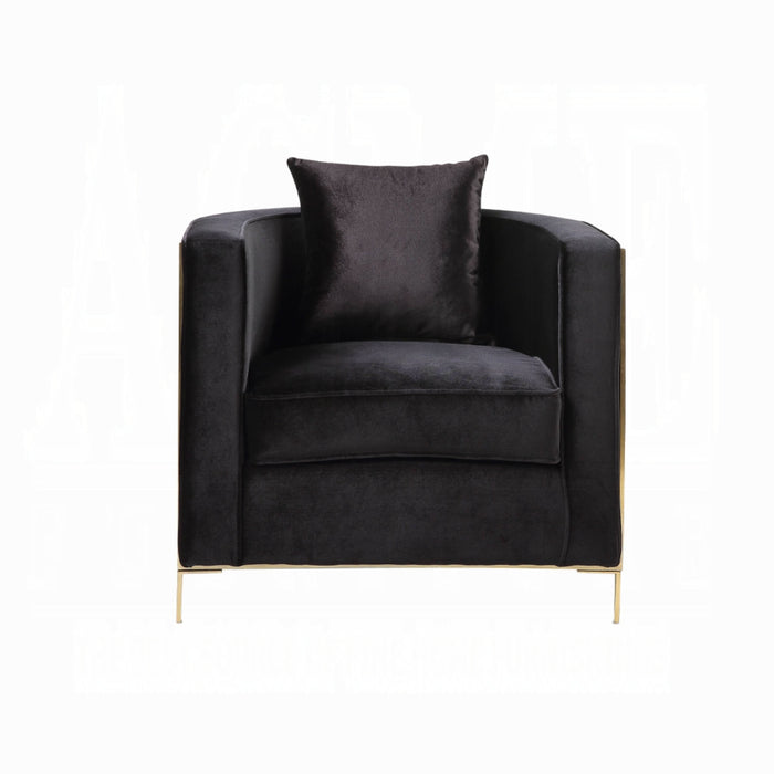 ACME Fergal Chair W/Pillow