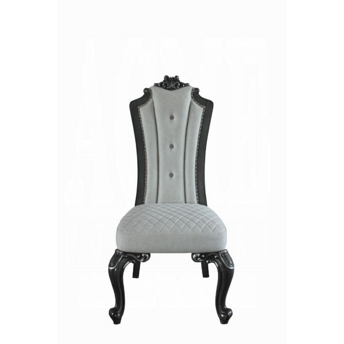 ACME House Delphine Side Chair (Set-2)