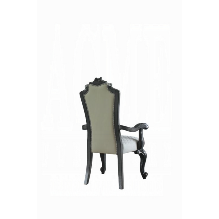 ACME House Delphine Arm Chair (Set-2)