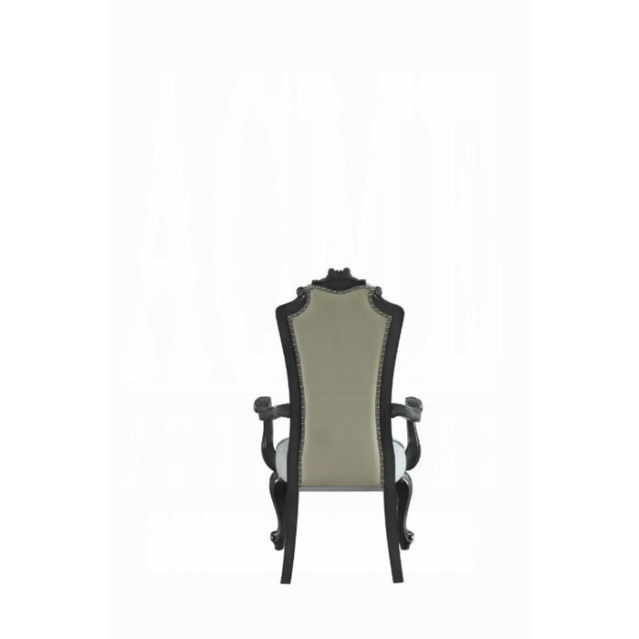 ACME House Delphine Arm Chair (Set-2)