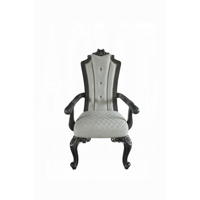 ACME House Delphine Arm Chair (Set-2)