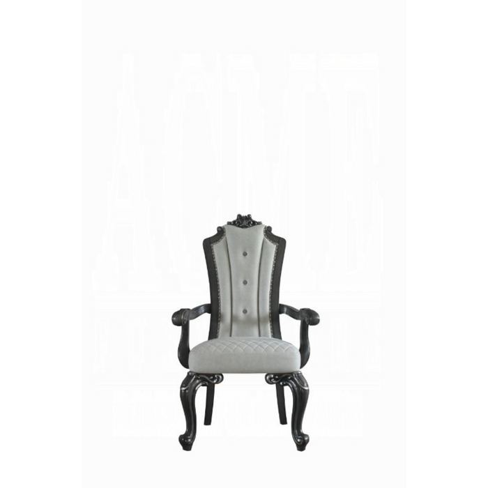 ACME House Delphine Arm Chair (Set-2)