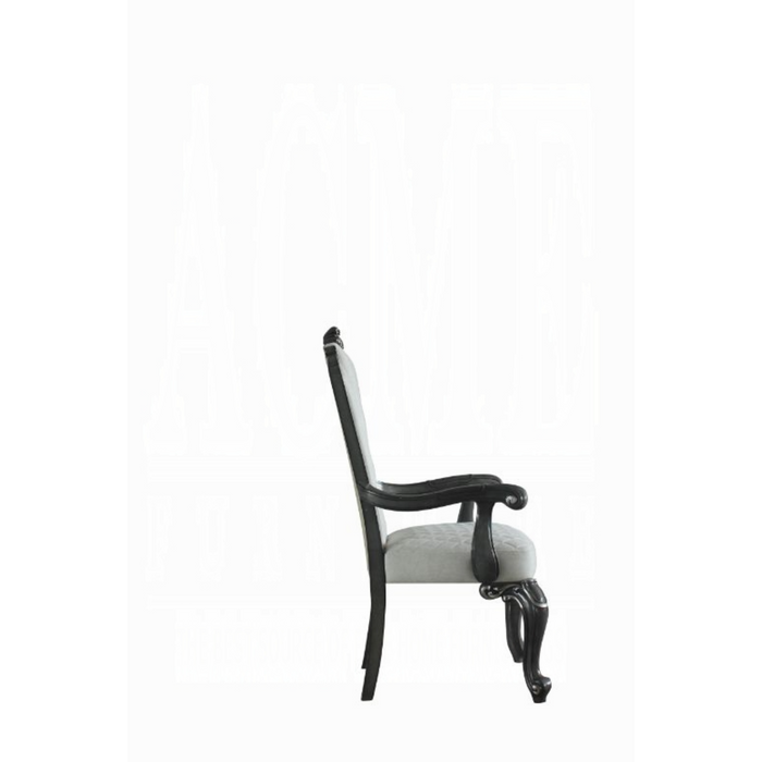 ACME House Delphine Arm Chair (Set-2)