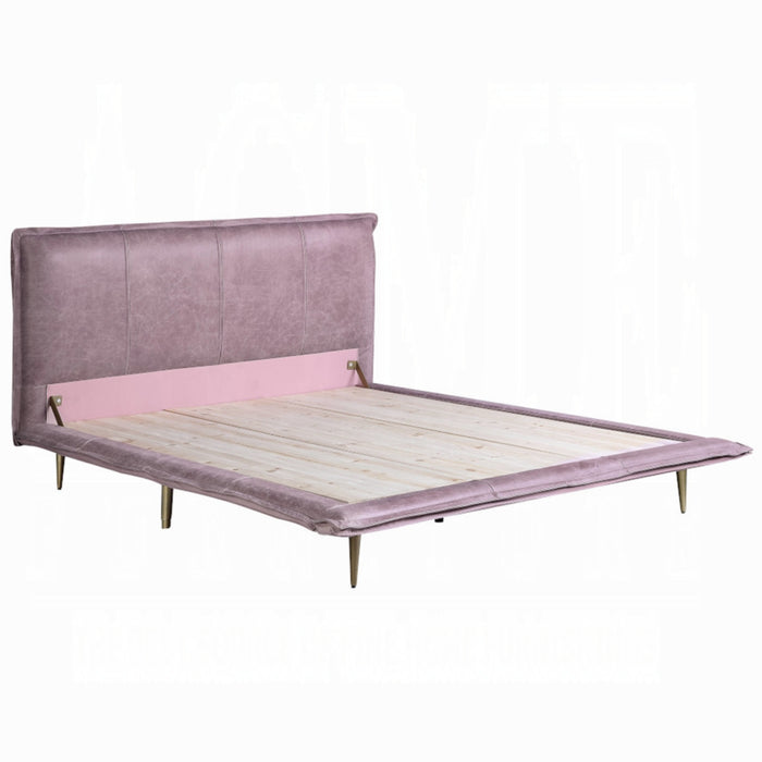 ACME Metis Queen Bed