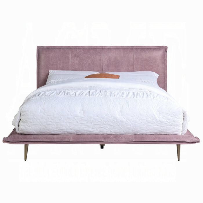 ACME Metis Queen Bed