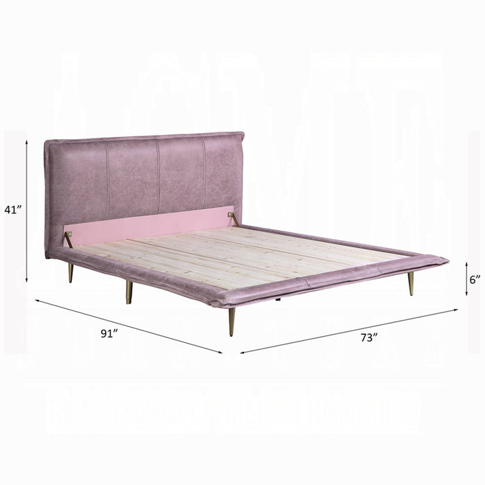 ACME Metis Queen Bed