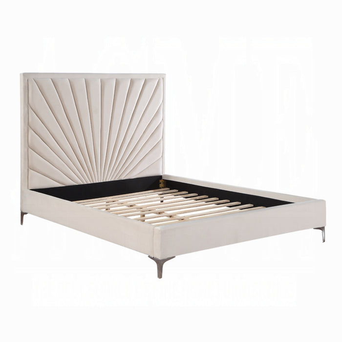 ACME Faiz Queen Bed