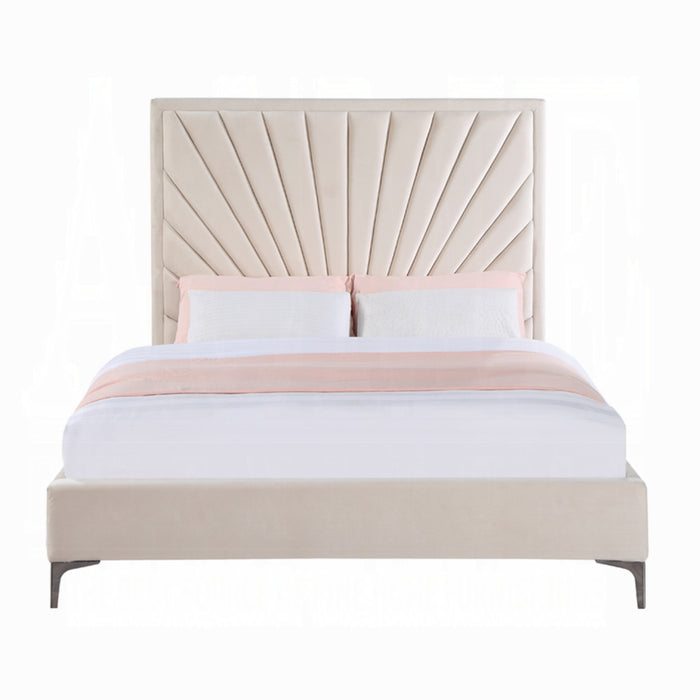 ACME Faiz Queen Bed