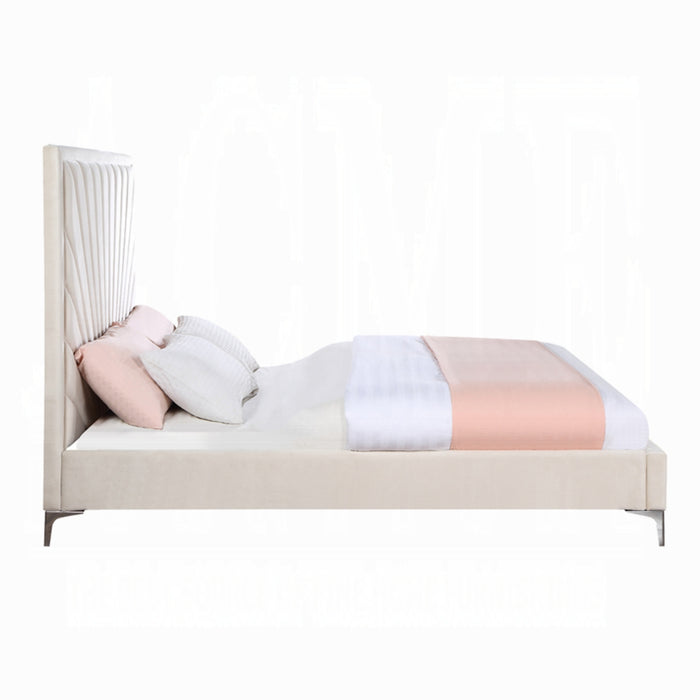 ACME Faiz Queen Bed