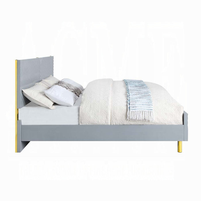 ACME Gaines Queen Bed