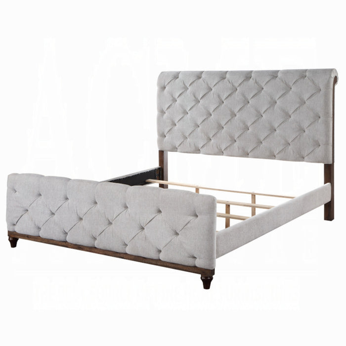 ACME Andria Queen Bed