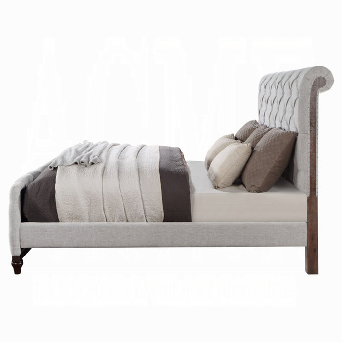 ACME Andria Queen Bed