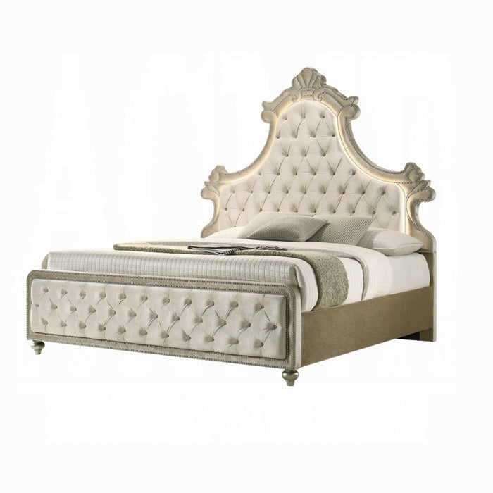 ACME Lucienne EK Bed W/Led