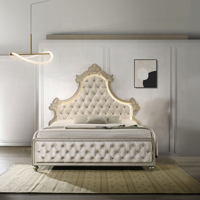 ACME Lucienne EK Bed W/Led