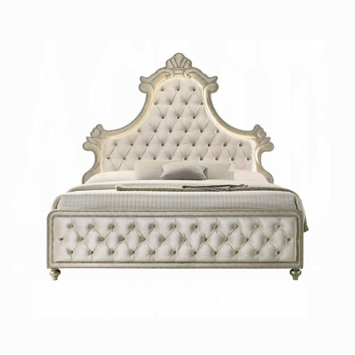 ACME Lucienne Queen Bed W/LED