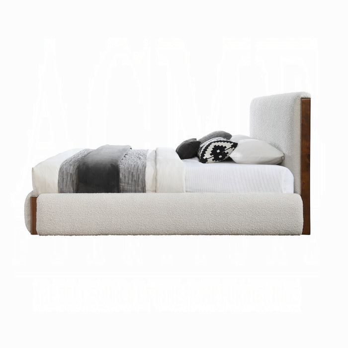 ACME Sandro Queen Bed