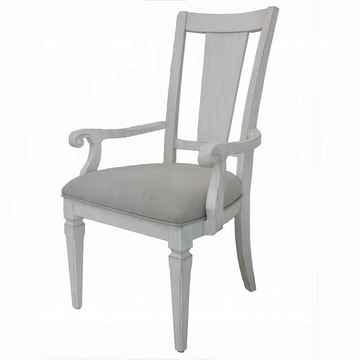 ACME Katia Arm Chair (Set-2)