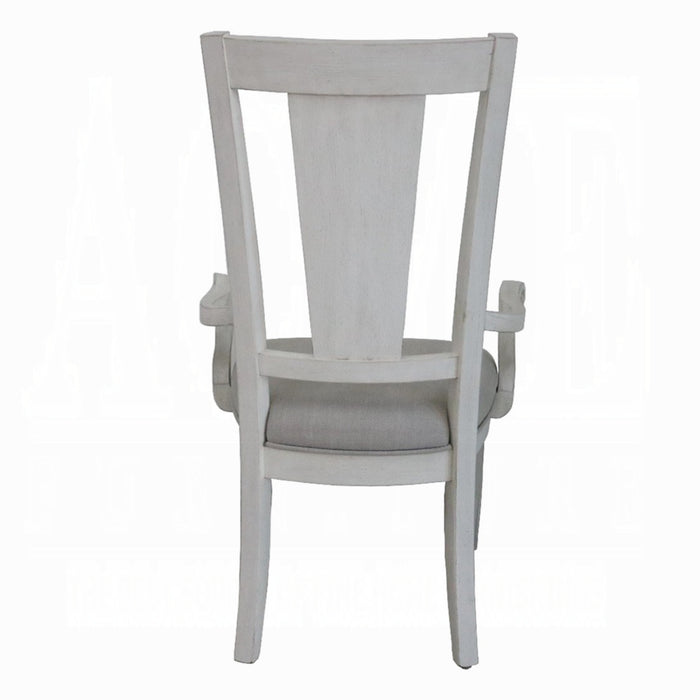 ACME Katia Arm Chair (Set-2)