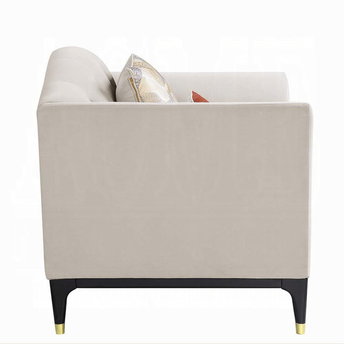 ACME Tayden Chair W/2 Pillows