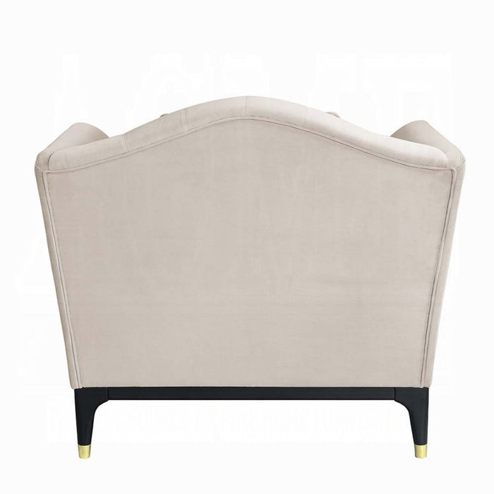 ACME Tayden Chair W/2 Pillows